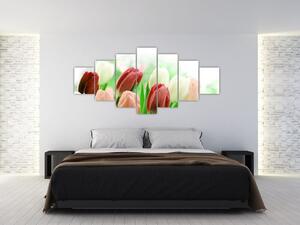 Tulipány, obraz (Obraz 210x100cm)