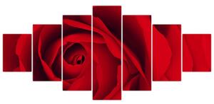 Detail červené ruže - obraz (Obraz 210x100cm)
