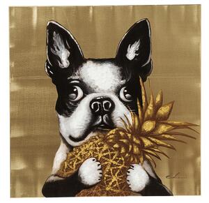 Dog with Pineapple obraz viacfarebný