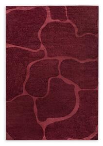 Koberec Alba6, 160x230 cm, bordová