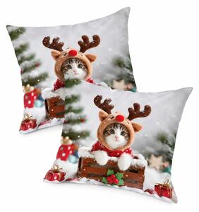 Sada 2 ks obliečok na vankúš 3D RUDOLPH KITTEN 45x45 cm
