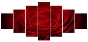 Makro ruža - obraz (Obraz 210x100cm)