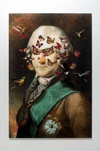 Noble Butterfly sklenený obraz mix 100x150 cm