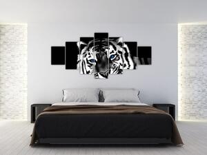 Obraz tigra s mláďaťom (Obraz 210x100cm)