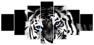 Obraz tigra s mláďaťom (Obraz 210x100cm)