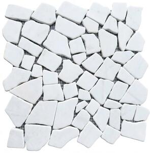 Kamenná mozaika Premium Mosaic Stone biela 30x30 cm mat STMOSWH