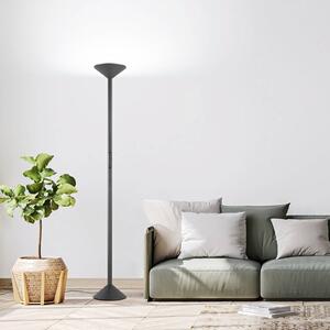 LED stojacia lampa Tratto, antracitová, kov, stmievateľné, Čierna, Obývacia izba / jedáleň, kov, Moderný, Zemné bodové svetlo