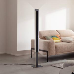 Schöner Wohnen LED stojacia lampa Lena, železo, čierne, stmievač, Čierna, Obývacia izba / jedáleň, kov, Moderný
