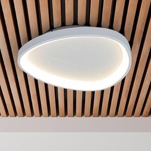 Stropné LED svetlo Argesa Ø 60,5 cm, biele, diaľkové ovládanie, Biela / opálová, Obývacia izba / jedáleň, kov, Moderný, Závesné svietidlo