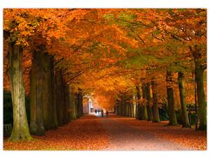 Obraz cesty lesom na jeseň (Obraz 60x40cm)