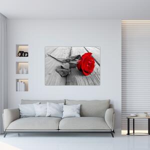 Obraz ruže s červeným kvetom (Obraz 60x40cm)