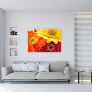 Obraz kvetov (Obraz 60x40cm)