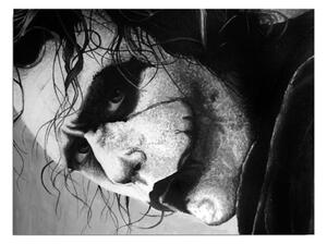 Nástenný obraz na plátne Joker, 40 × 30 cm