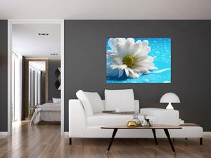Obraz kvetu margaréty (Obraz 60x40cm)