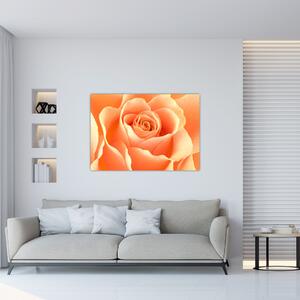 Obraz oranžové ruže (Obraz 60x40cm)