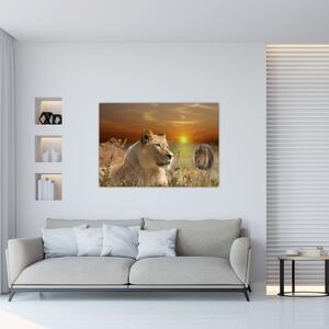 Obrazy zvierat (Obraz 60x40cm)