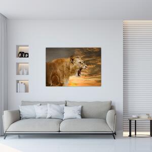 Obraz revúceho leva (Obraz 60x40cm)