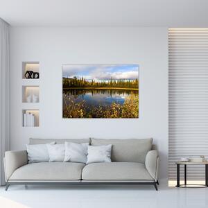 Obraz na stenu - lesné jazierko (Obraz 60x40cm)