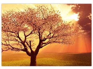 Obraz prírody - strom (Obraz 60x40cm)