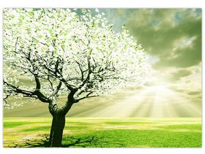 Jarný strom - moderný obraz (Obraz 60x40cm)