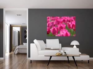 Obraz tulipánov (Obraz 60x40cm)