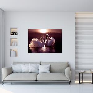 Moderný obraz - labute (Obraz 60x40cm)