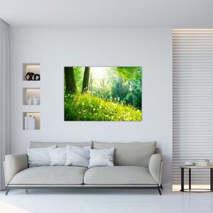 Moderné obrazy prírody (Obraz 60x40cm)