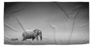 Sablio Uterák Slon a zebra - 30x50 cm