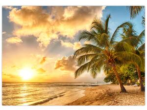 Obraz palmy na piesočnatej pláži (Obraz 60x40cm)