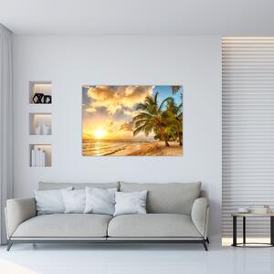 Obraz palmy na piesočnatej pláži (Obraz 60x40cm)