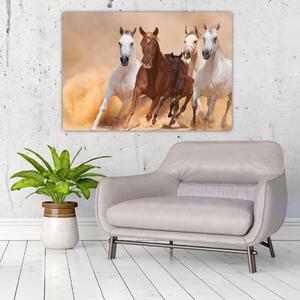 Obrazy bežiacich koní (Obraz 60x40cm)