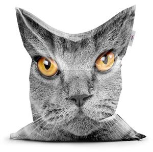 Sablio Sedací vak Mačací pohľad - 150x100 cm