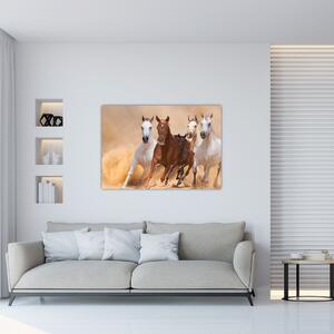 Obrazy bežiacich koní (Obraz 60x40cm)