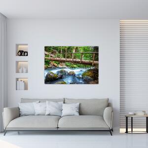 Obraz do bytu - horský potok (Obraz 60x40cm)