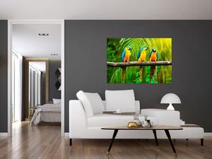 Moderný obraz - papagáje (Obraz 60x40cm)