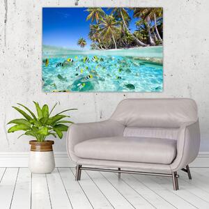 Obraz tropického mora (Obraz 60x40cm)