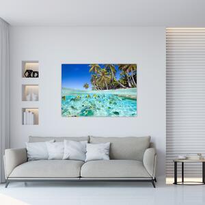 Obraz tropického mora (Obraz 60x40cm)