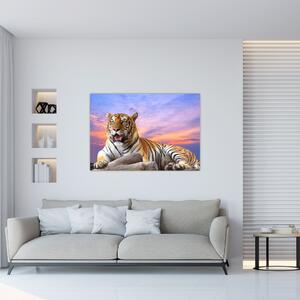 Obraz ležiaceho tigra (Obraz 60x40cm)