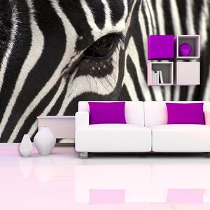 Sablio Tapeta Detail zebra - 125x75 cm