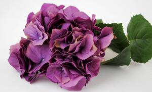 Dekorácie fialová hortenzie veľkokvetý - 80 cm