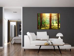 Moderný obraz - les (Obraz 60x40cm)