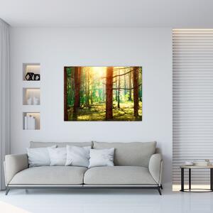 Moderný obraz - les (Obraz 60x40cm)