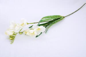 Umelé kvety FRÉZIE biela