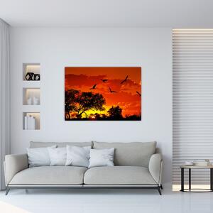 Obraz zapadajúceho slnka s vtákmi (Obraz 60x40cm)