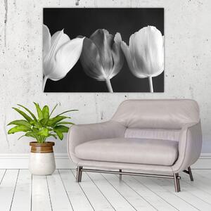 Čiernobiely obraz - tri tulipány (Obraz 60x40cm)