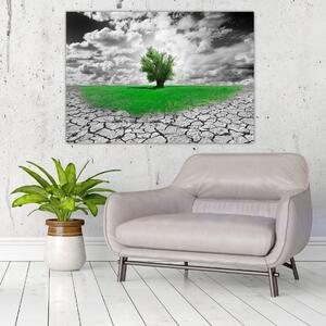Zelený ostrov vo vyprahnutej krajine - obrazy do obývačky (Obraz 60x40cm)