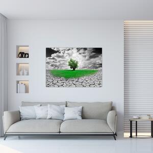 Zelený ostrov vo vyprahnutej krajine - obrazy do obývačky (Obraz 60x40cm)