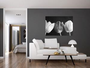 Čiernobiely obraz - tri tulipány (Obraz 60x40cm)