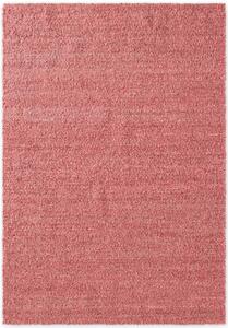 Koberec Ted Baker Notting Hill Portobello Dark Pink