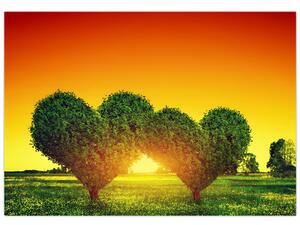 Zelené srdce sa zapadajúcim slnkom (Obraz 60x40cm)